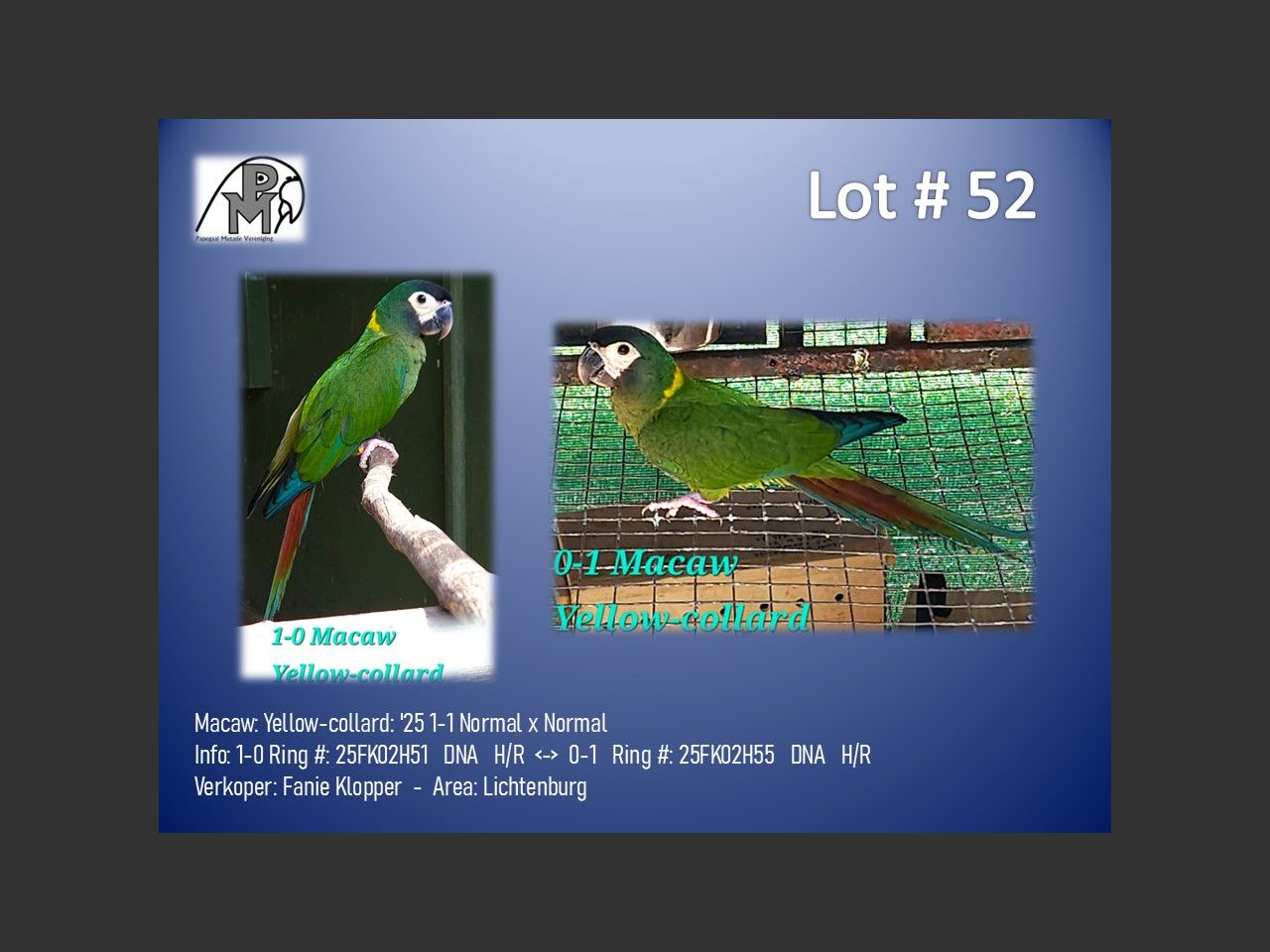 images