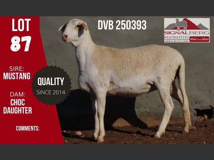 DVB 250393 | SIGNALBERG MEATMASTERS