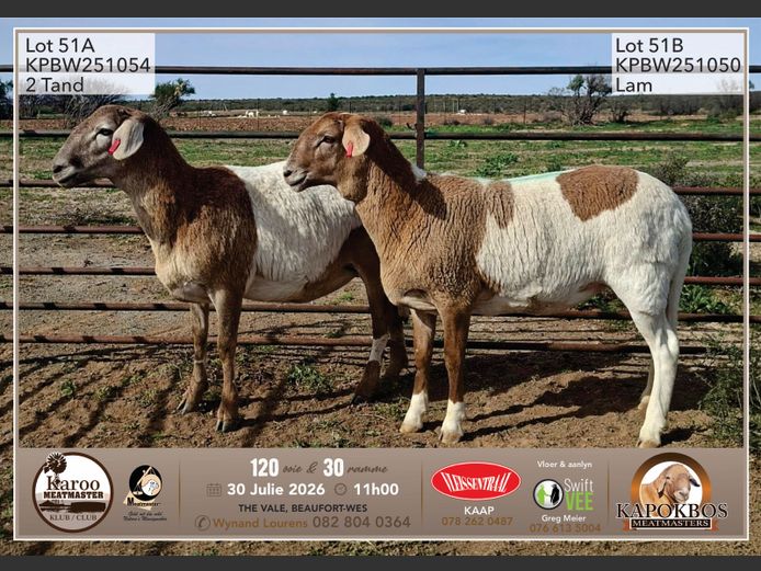 KPBW 25-1054 | Wynand Lourens - Kapokbos Meatmasters