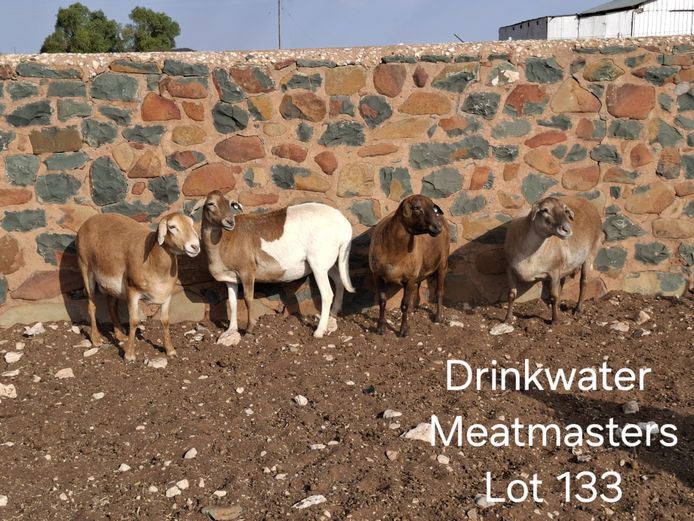 NRT 10 7 | HJ Koekemoer - Drinkwater Meatmasters
