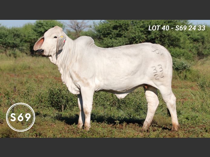 S692433 | JP Sakebelange BK