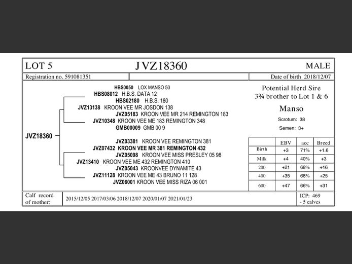 JVZ18-360