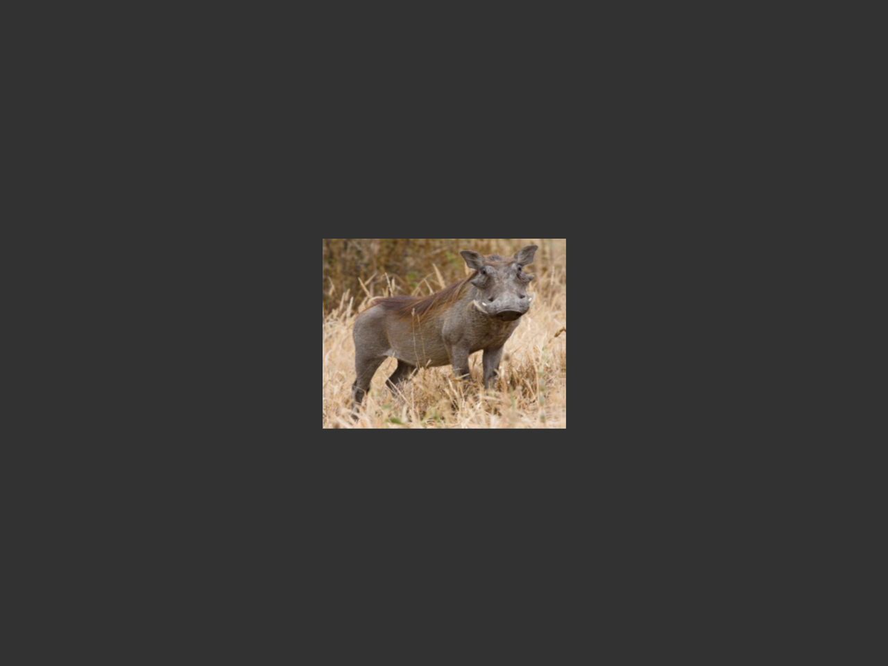 images