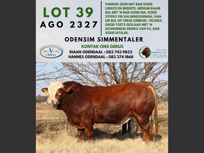 AGO2327 | AG ODENDAAL