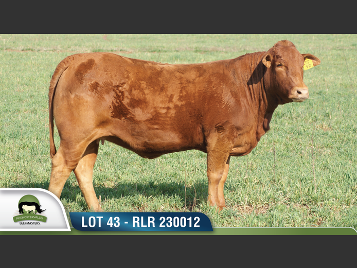 RLR 230012 | RHENOSTERVALLEI