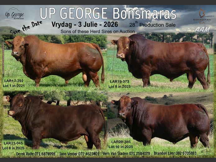 UP GEORGE BONSMARAS 28TH PRODUCTION SALE