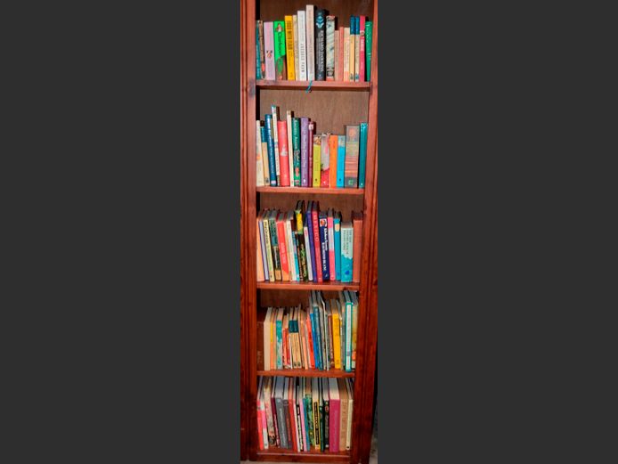 LOT ON 5 SHELVES: NOVELS, RECIPE BOOKS, etc