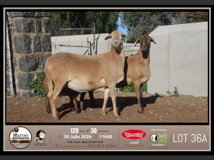 PB 2502 | Johan & Jeanne Murray - Pienaarspan Meatmasters
