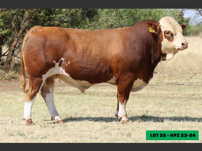 HPZ2354 | JP DU PREEZ BK