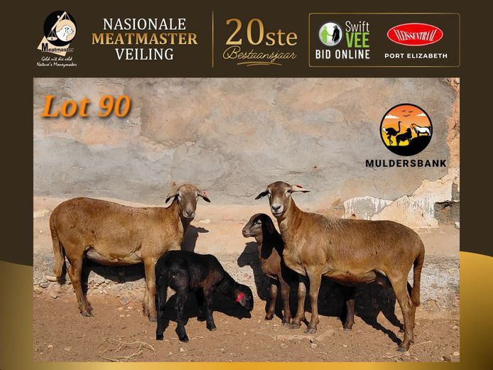 25-34 | Muldersbank Meatmasters
