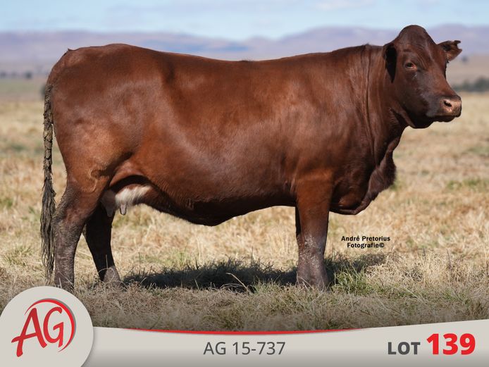 AG150737 | ARTHUR DE VILLIERS & SEUN