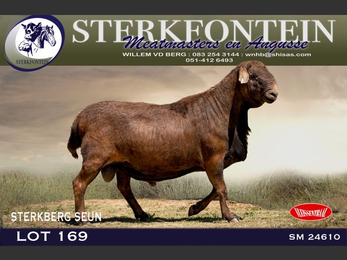 SM 24 610 | STRERKFONTEIN MEATMASTERS