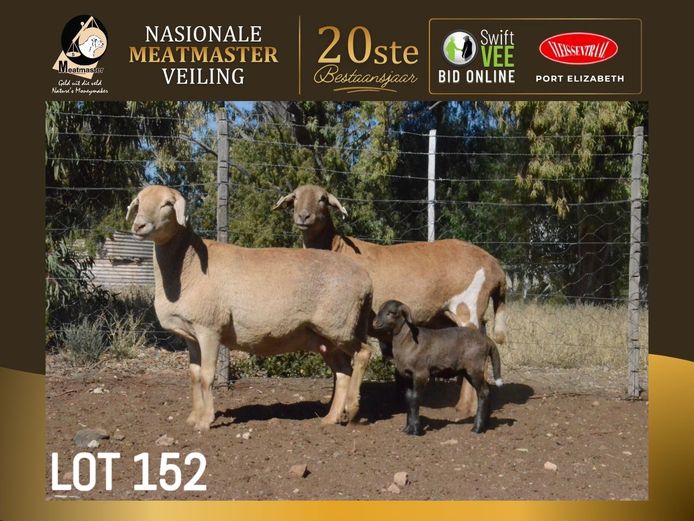 PB 2412 | Pienaarspan Meatmasters