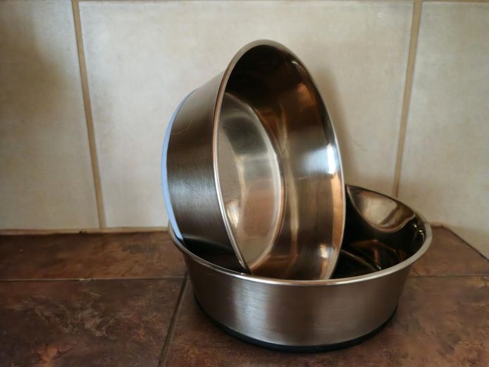 Premium Stainless Steel Olly & Max Non-Slip Pet Bowl Set