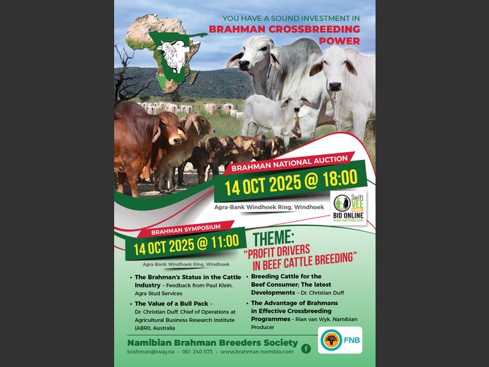 BRAHMAN NATIONAL AUCTION