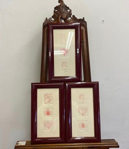 Three Pink line art works in Maroon frames