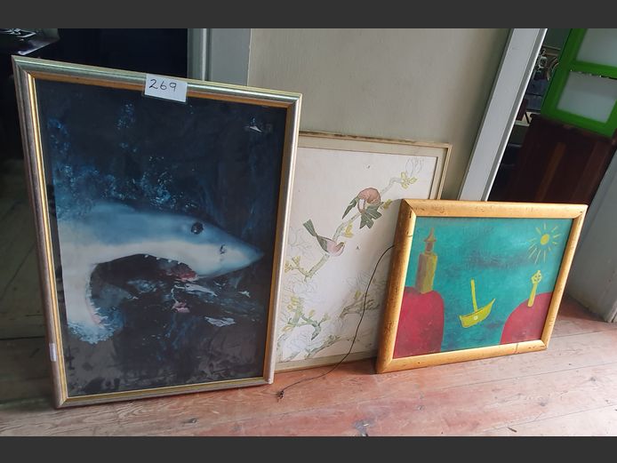 LOT: FRAMED SHARK PHOTOGRAPH, FRAMED PRINT "BIRDS", etc