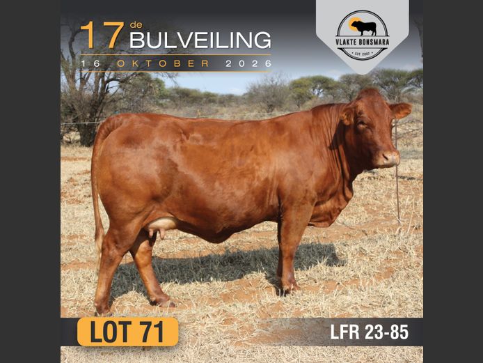 LFR230085 | LEON RIEKERT & SEUNS