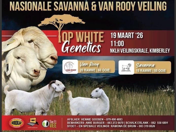 NASIONALE SAVANNA & VAN ROOY VEILING