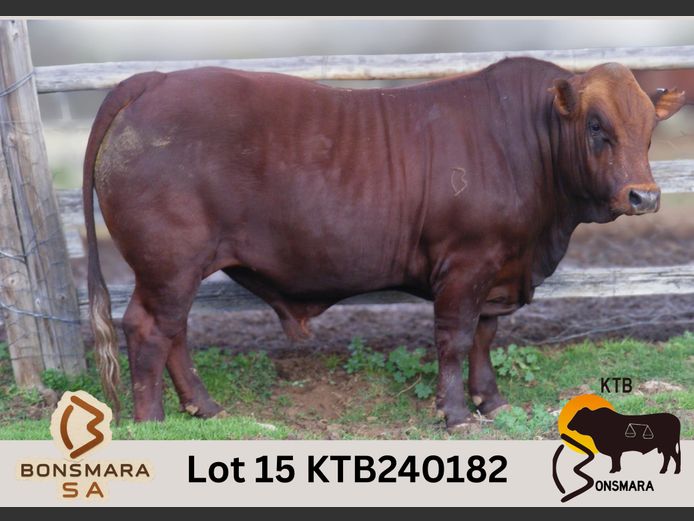 KTB240182 | BOTTERFONTEIN ESTATES CC