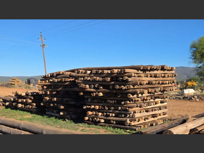 Houtpale (+-280, 1.5mx80mm)