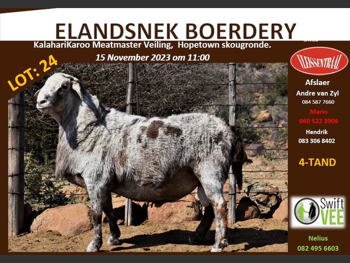 RSL 24 | ELANDSNEK BOERDERY