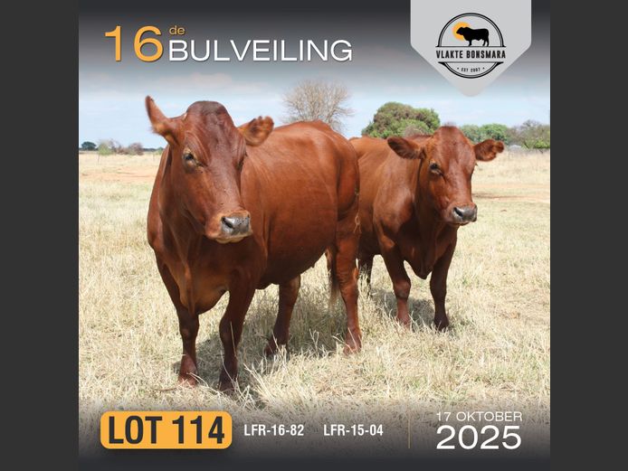 Commercial Animals | LFR BONSMARA STOET