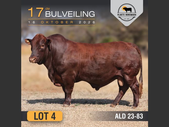 ALD230083 | ALDIGO BONSMARAS