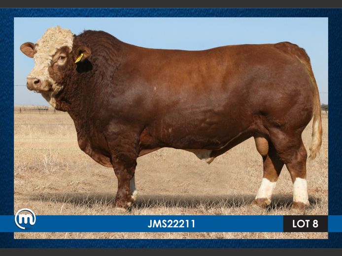 JMS22211