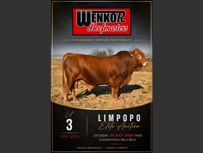 VPK220010 | WENKOR BEEFMASTERS
