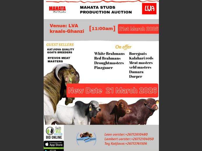 MAHATA STUDS PRODUCTION AUCTION