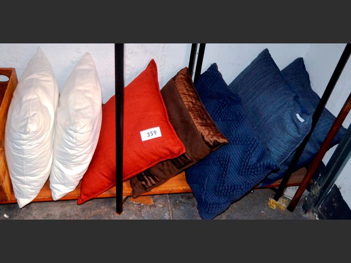 ASSORTED SCATTER CUSHIONS