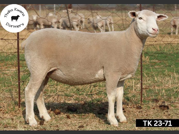 TK 230071 | THABA KWENA DORMERS