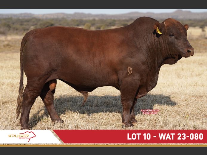 WAT230080 | KRUGER BOERDERY