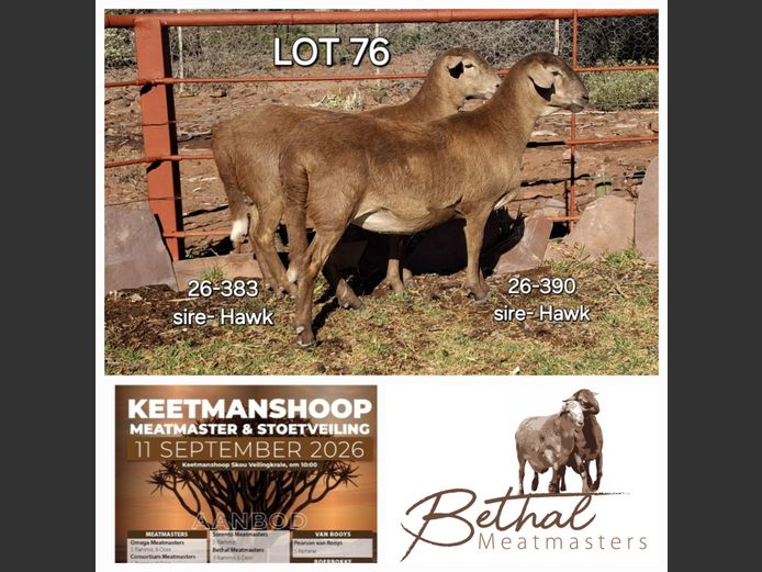 26-383 | 26-390 | Bethal Meatmasters