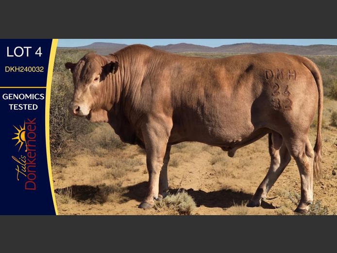 DKH240032 | DONKERHOEK BOERDERY TRUST