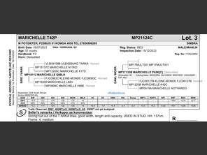 genetic_data