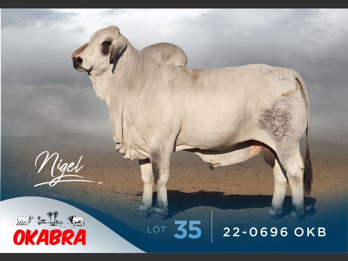 22-0696 OKB