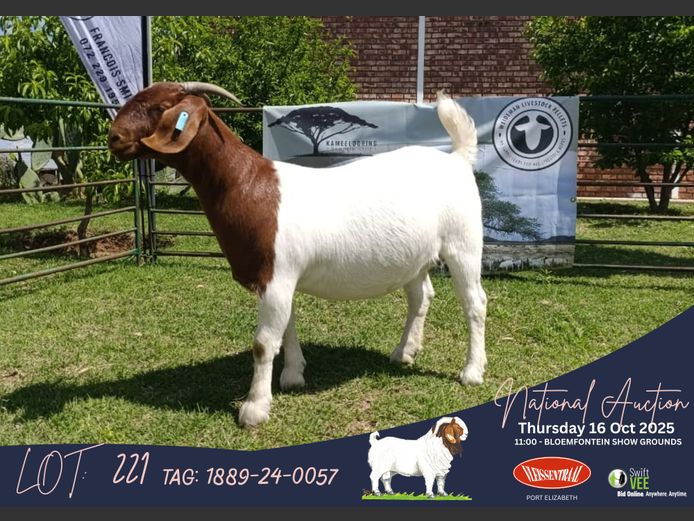 1889-24-0057 | Francois Smith (Kameeldoring Boerbokstoet)