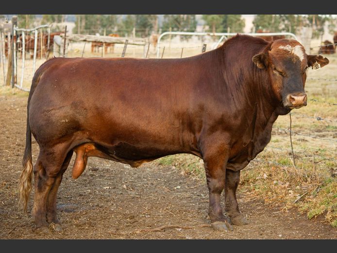 SE23132 | OUBOET BOERDERY