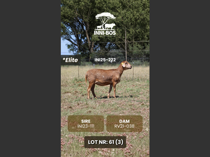INI25-222 *Elite