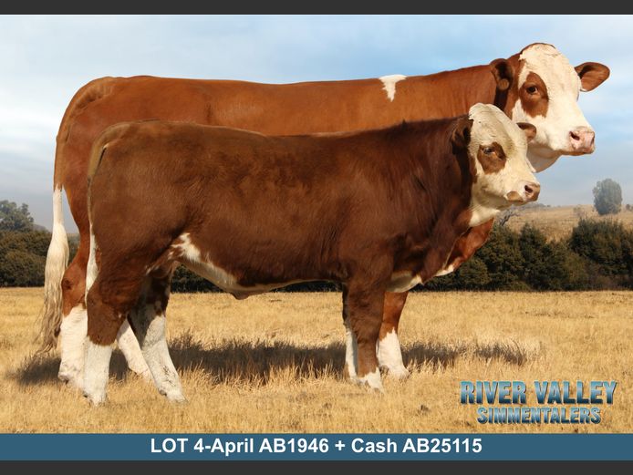 AB1946 | PA ABRAHAMSE