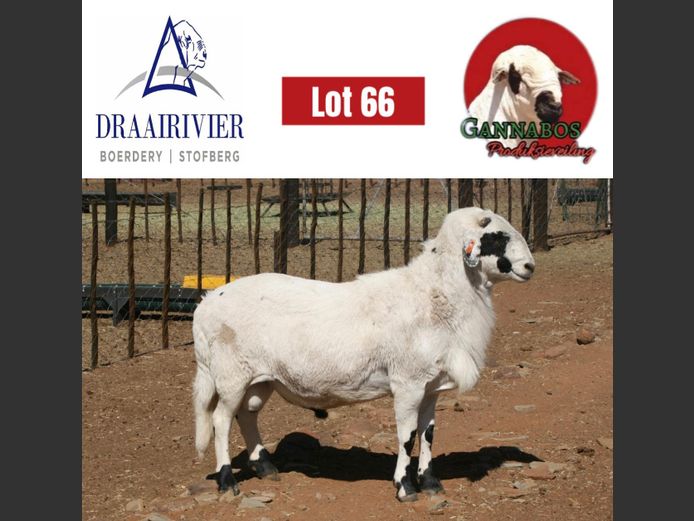 NS22-016 | Draairivier Boerdery