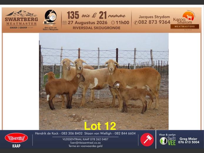 D25.77 | KAROO SHALOM