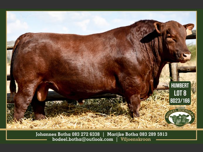 BD 230166 | BODEEL BOERDERY