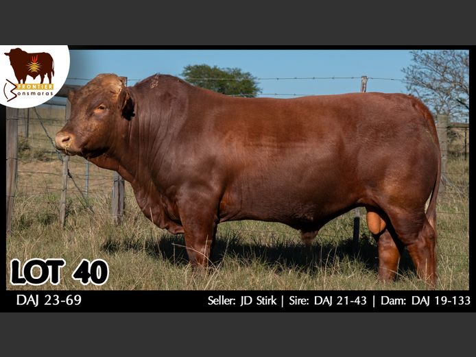 DAJ 230069 | J.D. STIRK