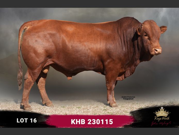 KHB 230115
