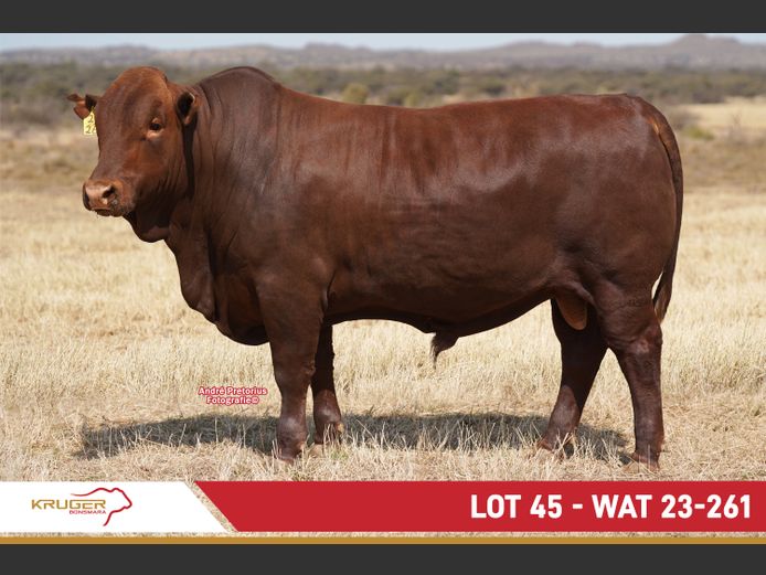 WAT230261 | KRUGER BOERDERY