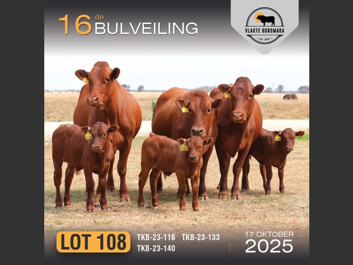 Commercial Animals | TKB BONSMARAS