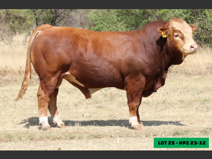 HPZ2312 | JP DU PREEZ BK